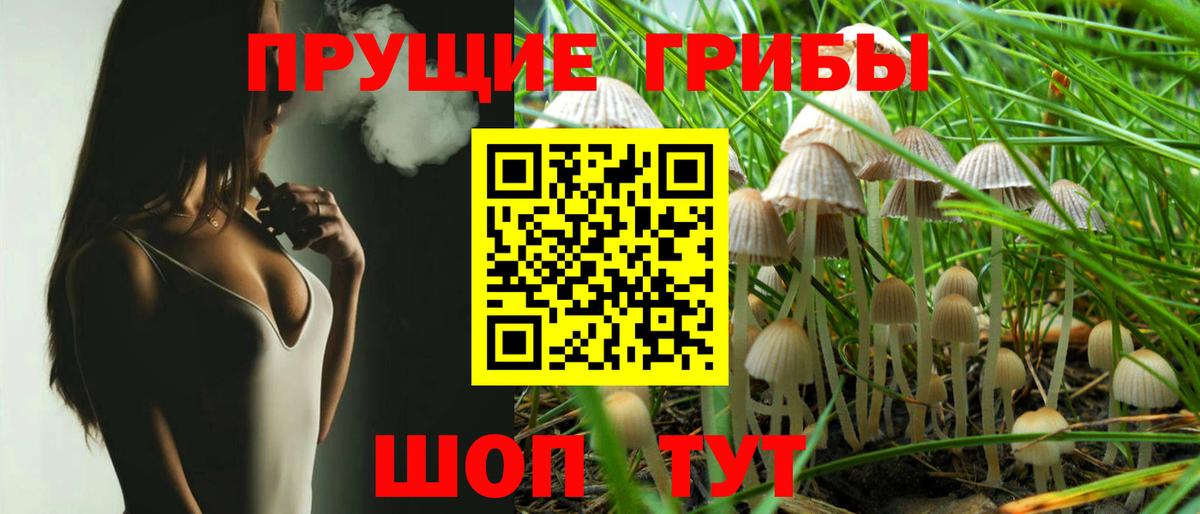 Галлюциногенные грибы Cubensis Лесосибирск