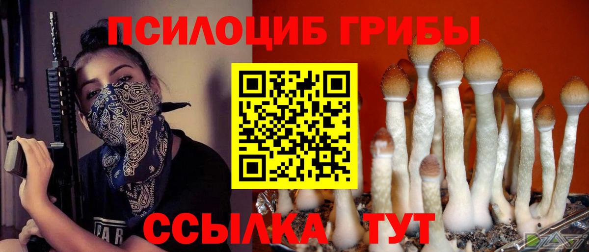 Галлюциногенные грибы Cubensis  Вход с VPN  Псилоцибиновые грибы MAGIC MUSHROOMS  Лесосибирск 